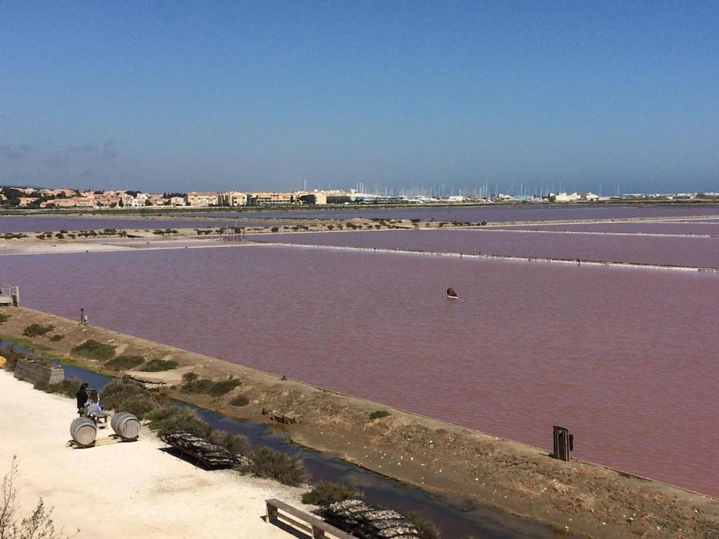 Gruissan Appartement Calme, Vue Sur Port De Plaisance -Clim, Empl.Parking Εξωτερικό φωτογραφία