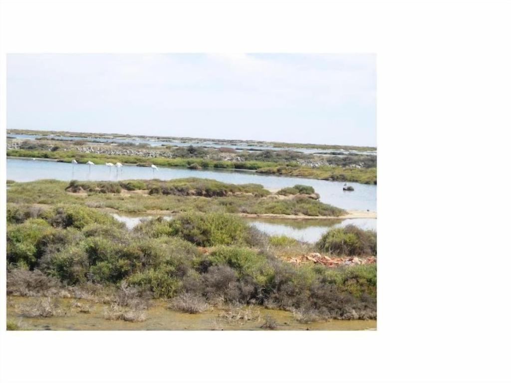 Gruissan Appartement Calme, Vue Sur Port De Plaisance -Clim, Empl.Parking Εξωτερικό φωτογραφία