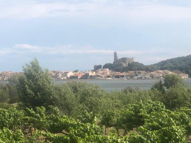 Gruissan Appartement Calme, Vue Sur Port De Plaisance -Clim, Empl.Parking Εξωτερικό φωτογραφία